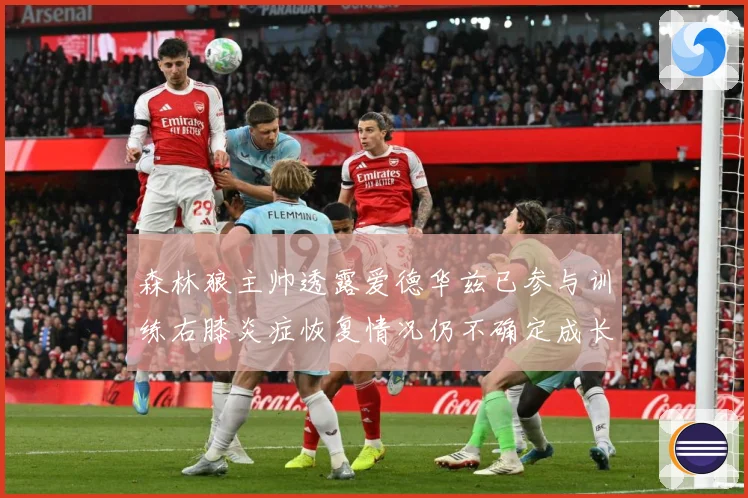 森林狼主帅透露爱德华兹已参与训练右膝炎症恢复情况仍不确定成长观察-深度解析