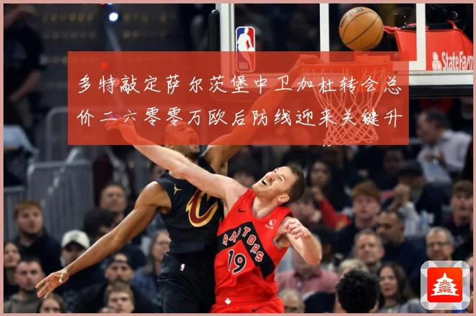 多特敲定萨尔茨堡中卫加杜转会总价二六零零万欧后防线迎来关键升战术观察-深度解析